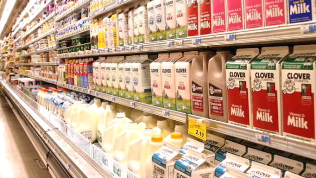 dairy grocery categories